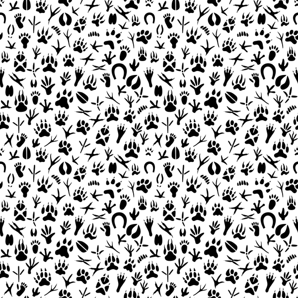 Animals footprint seamless pattern design vectors