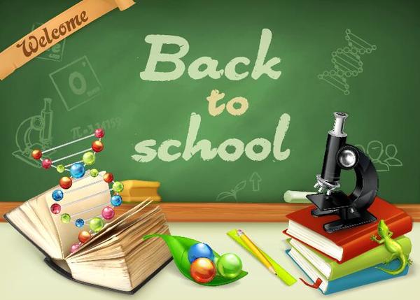 Back to school background with green chalkboard vector 04