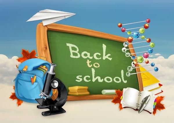 Back to school background with green chalkboard vector 10
