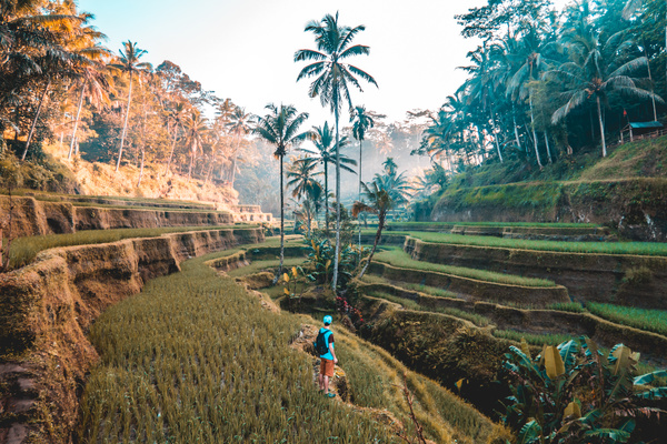 Backpackers traveling in tropical countryside Stock Photo