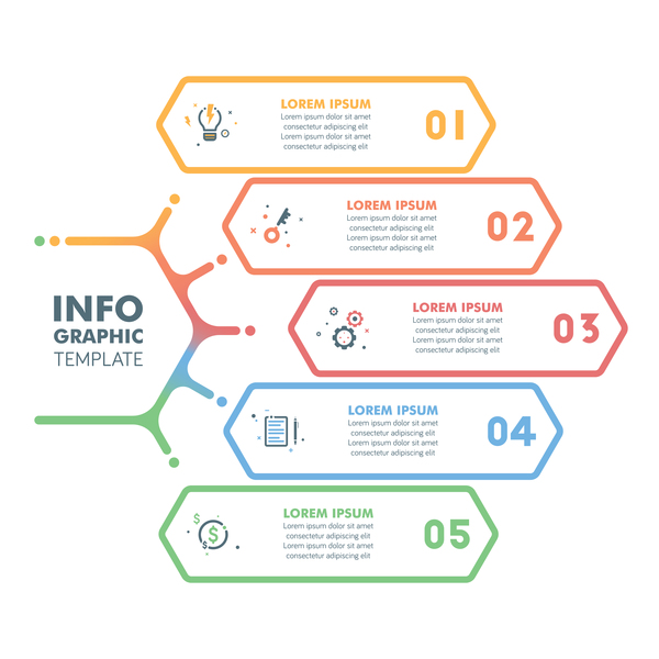 Banner option infographic template vectors 03