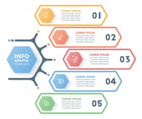 Banner option infographic template vectors 04