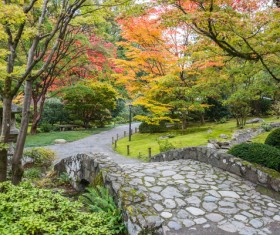 Beautiful Japanese garden Stock Photo 02