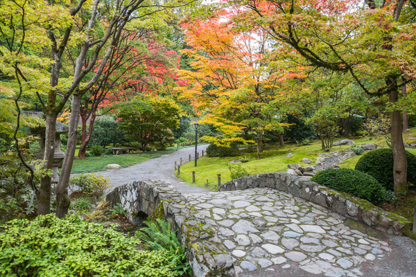 Beautiful Japanese garden Stock Photo 02
