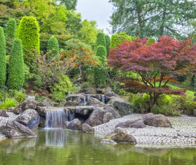 Beautiful Japanese garden Stock Photo 03