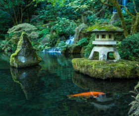 Beautiful Japanese garden Stock Photo 05