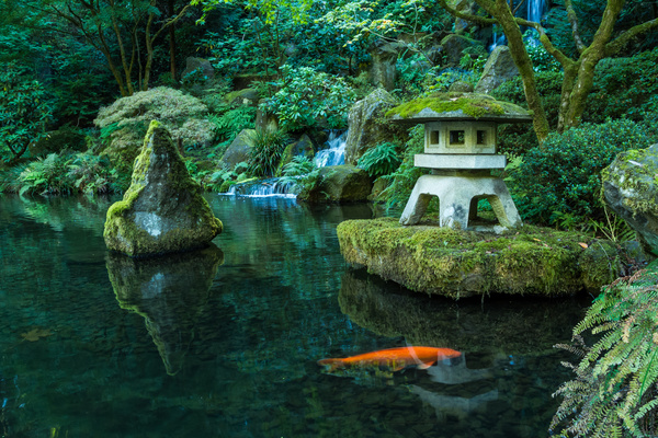 Beautiful Japanese garden Stock Photo 05