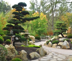 Beautiful Japanese garden Stock Photo 06