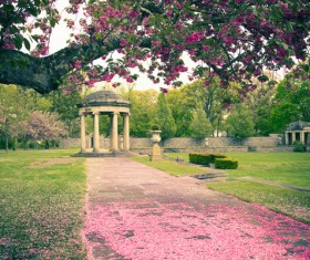 Beautiful Japanese garden Stock Photo 07