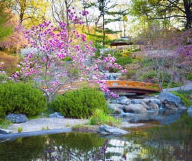 Beautiful Japanese garden Stock Photo 08
