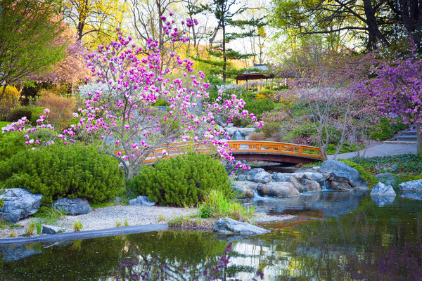 Beautiful Japanese garden Stock Photo 08