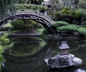 Beautiful Japanese garden Stock Photo 09