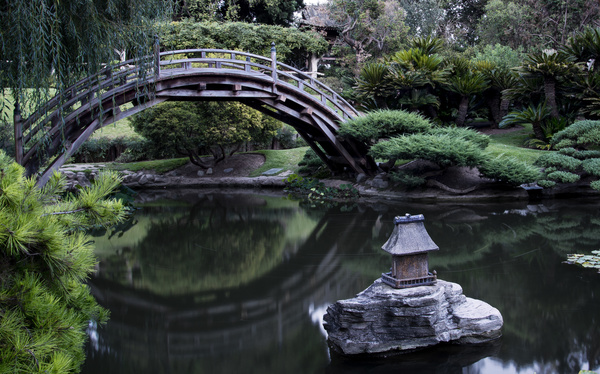 Beautiful Japanese garden Stock Photo 09