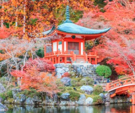 Beautiful Japanese garden Stock Photo 10
