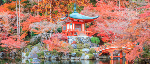 Beautiful Japanese garden Stock Photo 10