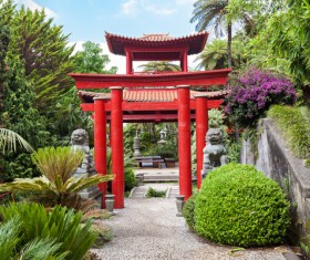 Beautiful Japanese garden Stock Photo 11