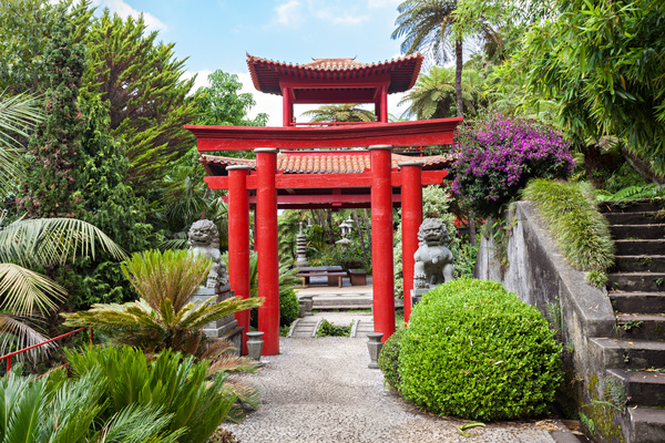 Beautiful Japanese garden Stock Photo 11