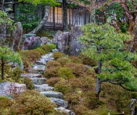 Beautiful Japanese garden Stock Photo 12
