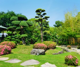 Beautiful Japanese garden Stock Photo 13