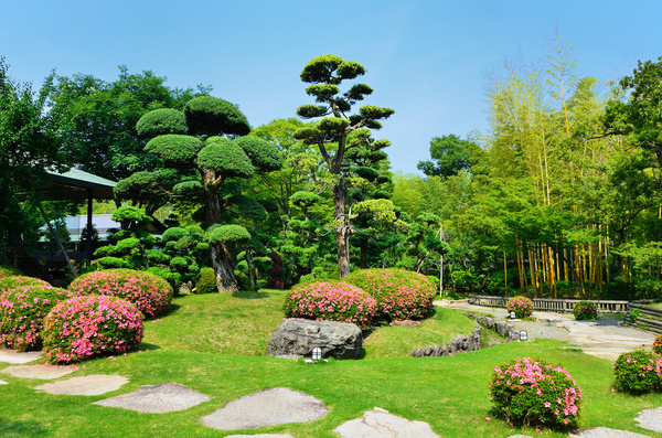 Beautiful Japanese garden Stock Photo 13