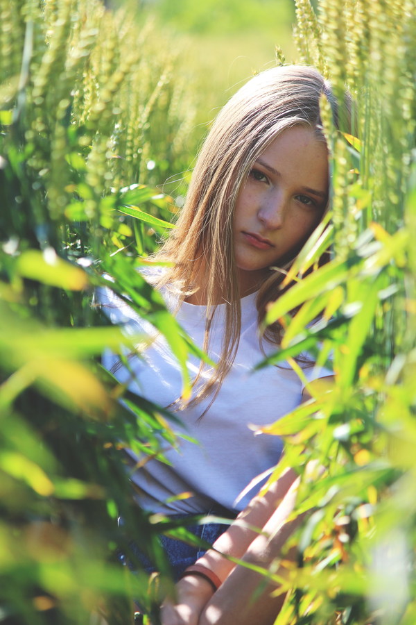 Beautiful girl in wheat field Stock Photo