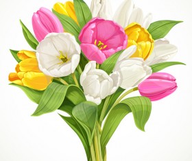 Bouquet of white, pink and yellow tulips vector