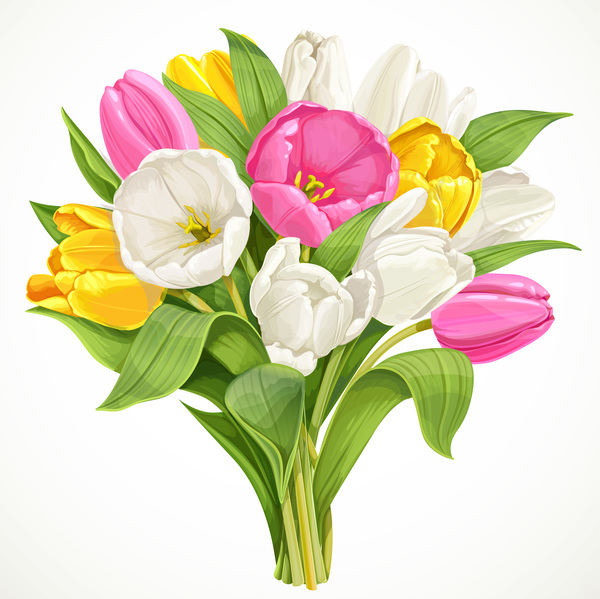 Bouquet of white, pink and yellow tulips vector