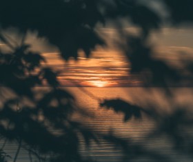 Calm sea scene at sunset through leaves Stock Photo