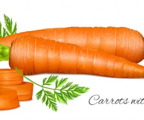 Carrots with leaves vector