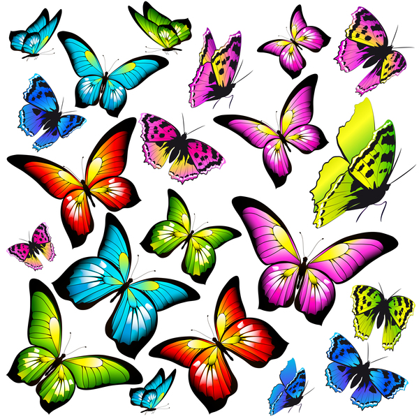Colorful butterfies vector illustration set 01