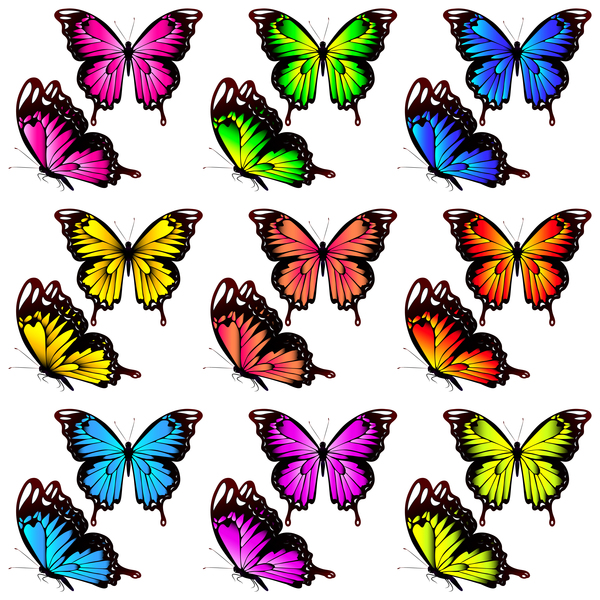 Colorful butterfies vector illustration set 02
