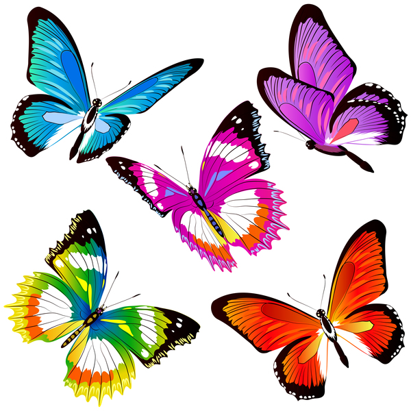 Colorful butterfies vector illustration set 03