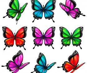 Colorful butterfies vector illustration set 04