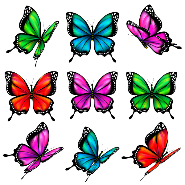 Colorful butterfies vector illustration set 04