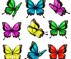 Colorful butterfies vector illustration set 05