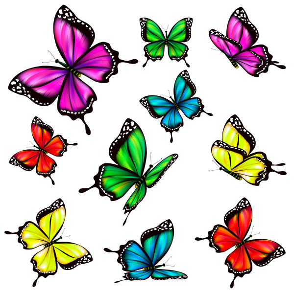 Colorful butterfies vector illustration set 06