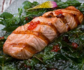 Different practices salmon dishes Stock Photo 02