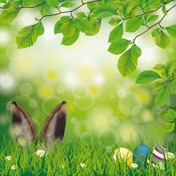 Easter Spring Hare Eggs Beech Twigs Flowers vector