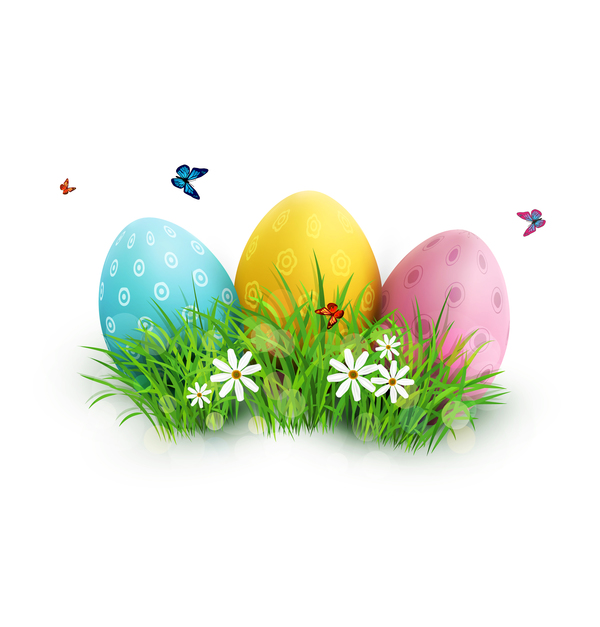 Easter egg with white background vector 01