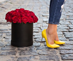 Fashion female legs Stock Photo 05