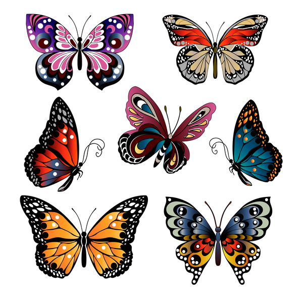 Floral decorative butterflies design vector 01