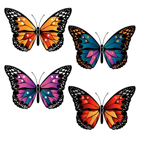Floral decorative butterflies design vector 03