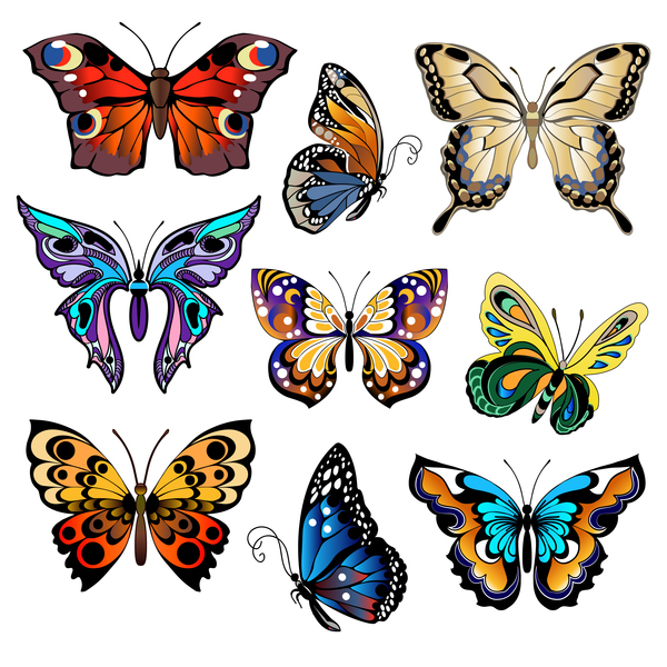 Floral decorative butterflies design vector 04