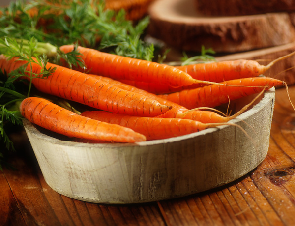 Fresh carrots Stock Photo 01