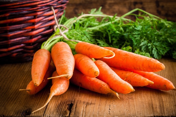 Fresh carrots Stock Photo 02