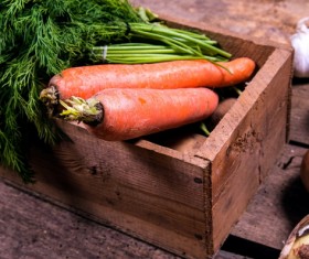 Fresh carrots Stock Photo 03