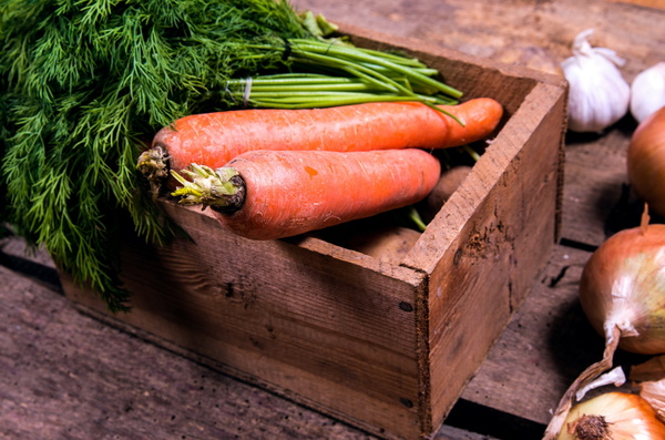Fresh carrots Stock Photo 03