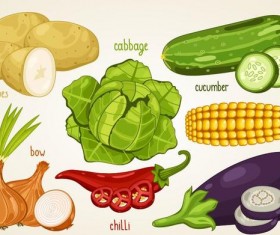 Fresh vegetables with name vector illustration 01