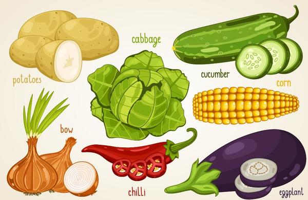 Fresh vegetables with name vector illustration 01