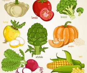 Fresh vegetables with name vector illustration 04